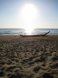 Gargano Strand Holz